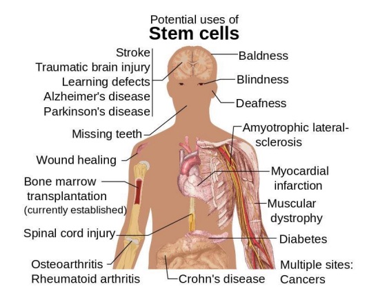 Em cell use